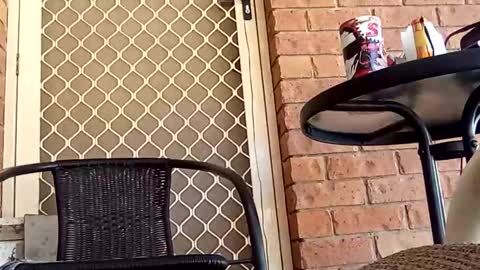 03oldskoolatgm online show from February 21, 4:15 am