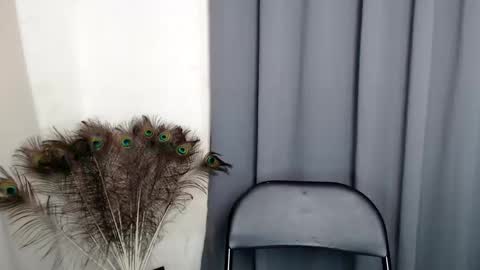 barbie online show from February 13, 11:35 am