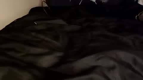 Littleweener online show from September 16, 7:17 pm