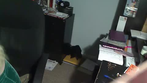 Susan online show from December 19, 1:01 am