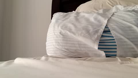 2022felipe online show from December 14, 8:18 pm