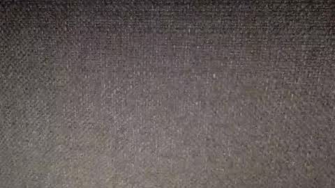 30nick online show from February 14, 9:56 am