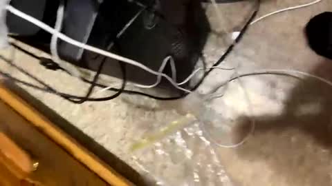 420bbwlover online show from January 4, 3:17 pm