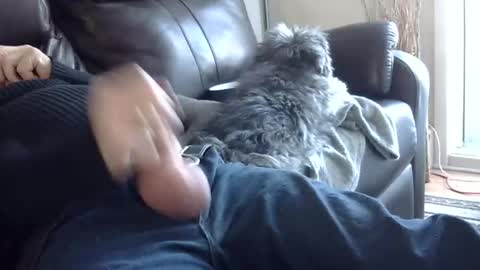 Snapshot of 66bear chatting on March 2, 10:05 pm 66bear online show from March 2, 10:05 pm