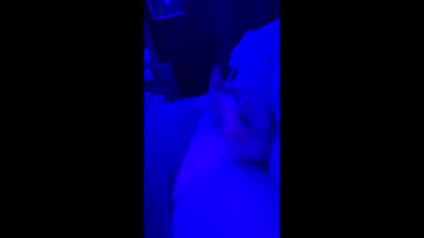 69vz69 online show from March 27, 12:17 pm