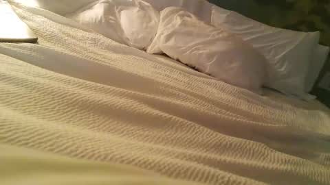 75stingray online show from March 10, 9:40 pm