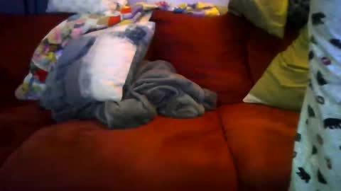 77steve7777 online show from December 18, 11:16 am