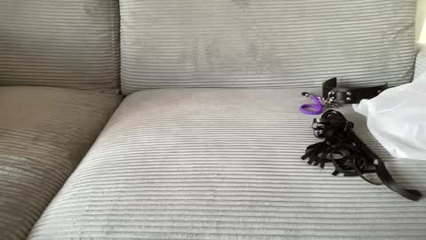 7godzilla online show from September 14, 3:24 pm