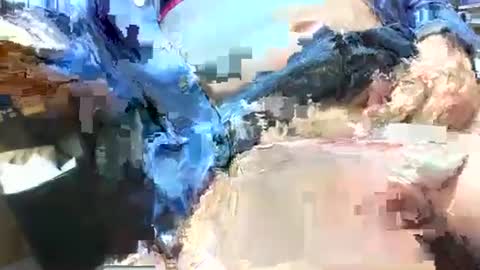 99zeus9 online show from April 26, 4:26 pm