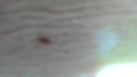 _all_access_ online show from November 13, 6:10 pm