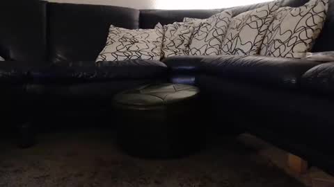 b0rn4porn online show from September 11, 12:01 am