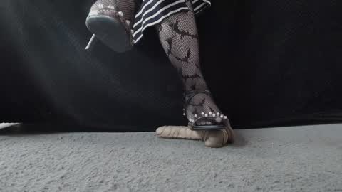 Miss Jade online show from November 6, 12:52 pm