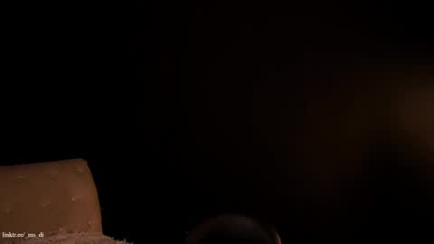 Not on OF Some stuff for sale  online show from November 11, 3:52 am