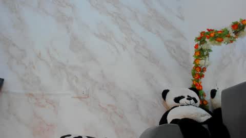 Snapshot of _nanny_1 chatting on January 11, 11:13 pm Nanny online show from January 11, 11:13 pm