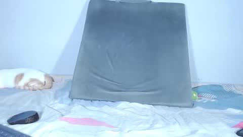 Snapshot of _sexychanel_ chatting on October 21, 10:24 pm Sara online show from October 21, 10:24 pm