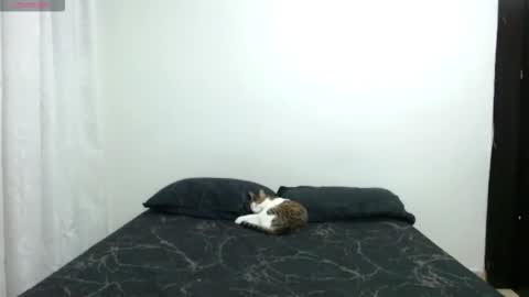 Sofia Parker online show from November 26, 8:38 pm