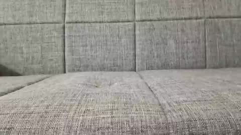 XXL online show from April 6, 6:09 pm