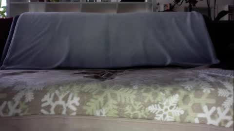 a_nice_dick_77 online show from January 8, 7:47 am