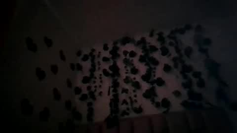 abby_moss_2 online show from April 8, 12:41 pm