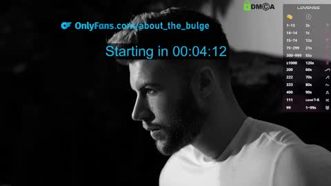 Snapshot of about_the_bulge chatting on February 22, 8:42 pm about_the_bulge online show from February 22, 8:42 pm
