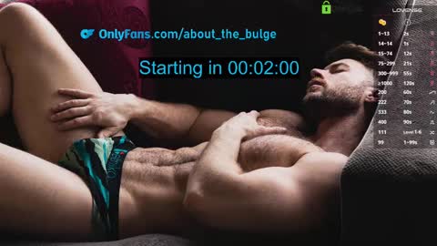 Snapshot of about_the_bulge chatting on February 26, 8:47 pm about_the_bulge online show from February 26, 8:47 pm