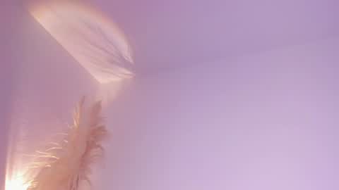 Ada online show from July 12, 12:03 am