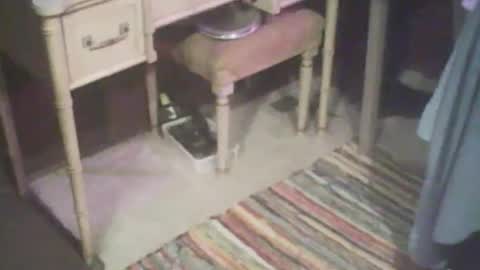 adamsny online show from April 21, 4:41 am