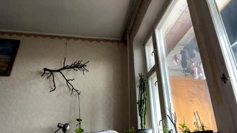 vegans taste better online show from October 14, 6:16 am