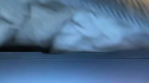 Agent Action Jackson online show from January 8, 4:34 am