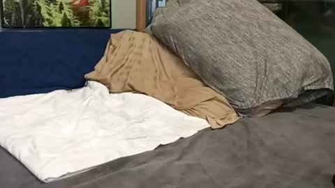 Jimmy online show from June 16, 4:33 pm