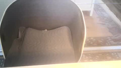 Ole online show from January 10, 9:34 am