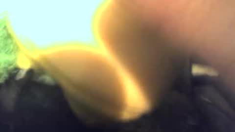 aj331827 online show from November 1, 4:55 am