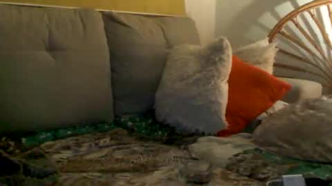 albertomaxchotex online show from April 5, 8:28 pm