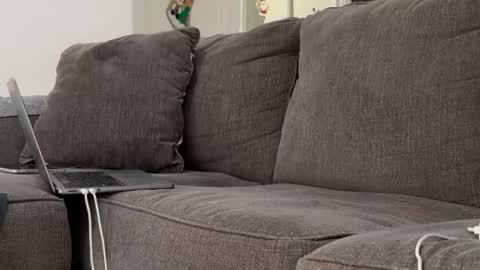 Alex online show from November 3, 6:53 pm