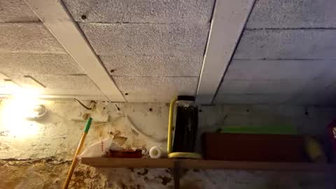 alexcana10 online show from December 6, 7:59 am