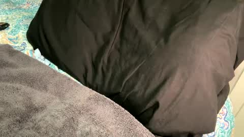 Alexis online show from January 13, 2:00 pm