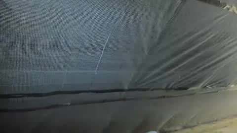 alfiesolomons87 online show from October 2, 12:15 pm