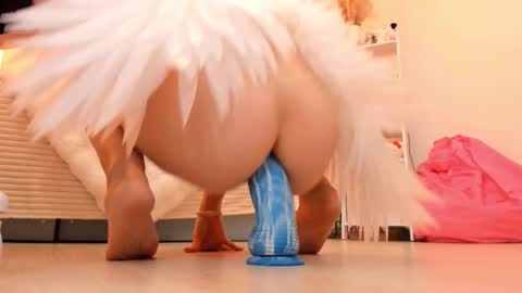 Alichery online show from November 1, 6:56 am