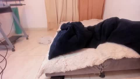 Alis 3 independent model 3 online show from February 7, 11:24 pm