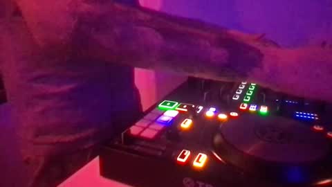 busco rockera online show from March 11, 12:00 am