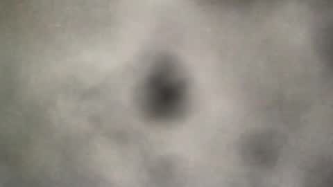 all_most_sane online show from August 6, 4:16 pm