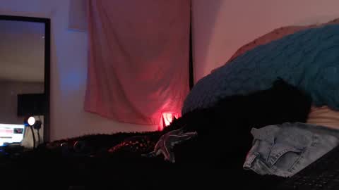 Snapshot of ally_donfort chatting on February 16, 12:52 am Ally online show from February 16, 12:52 am
