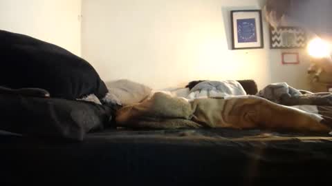 Alyn Maria online show from December 2, 2:57 am