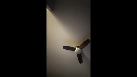 amahoe777 online show from December 17, 10:22 am