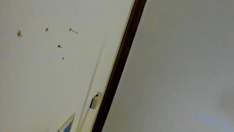 Amanda tint online show from September 15, 3:35 pm