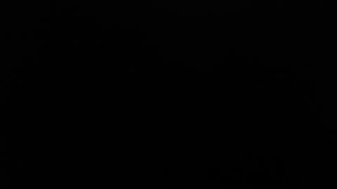 Amarantha online show from February 26, 1:00 pm