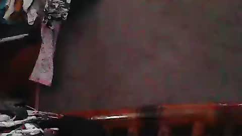 Amia online show from September 11, 3:30 am