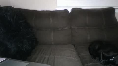 amiri_sweater online show from March 2, 11:39 am