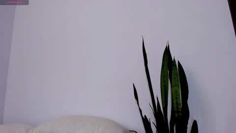 ammy online show from September 11, 3:35 pm