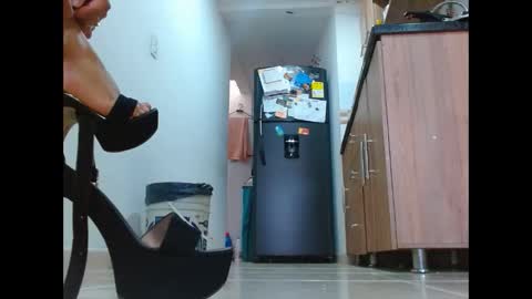 anaids online show from November 30, 4:03 pm